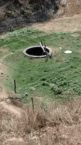 ग्राम क्योतली पोस्ट क्योतली थाना गढ़वा तहसील चितरंगी जिला सिंगरौली बताया जारहा है