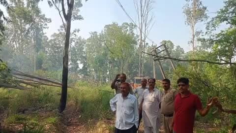 अम्बाला: धू-धू कर जली  अधोया गांव की गऊ चारण भूमि, टला बड़ा हादसा
#बर