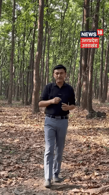 Sarkari Hathi Ko Jungli Hathi Bhaga Le Gaye #viralnews #2026