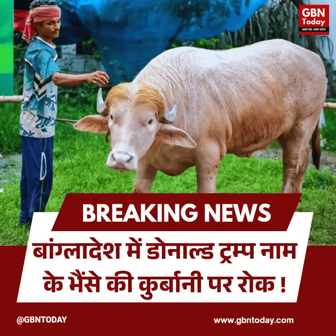 बांग्लादेश: 'डोनाल्ड ट्रम्प' नाम के भैंसे की कुर्बानी पर रोक।
#BangladeshNews #DonaldTrumpBuffalo #EidUlAdha #Qurbani