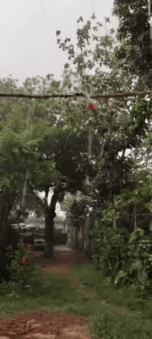 Aaj Dihri on sone barish ke sath aadhi tufan