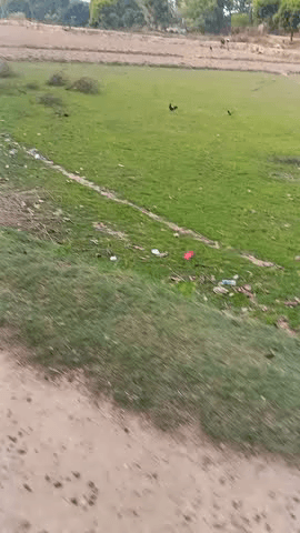 नवागढ़ भेटका कोना रायडीह प्रखण्ड का दैनिय स्थिति किस प्रकार से गुजर रहा है