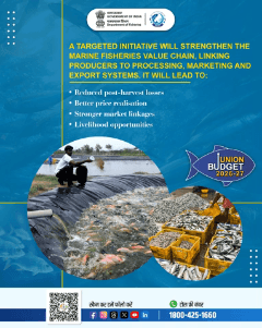 The Budget 2026 places Fishers at the centre of a streamlined, efficient and market-ready fisheries ecosystem, leading to higher incomes and more livelihood opportunities.

<nis:link nis:type=tag nis:id=Budget2026 nis:value=Budget2026 nis:enabled=true nis:link/> <nis:link nis:type=tag nis:id=CoastalFisheries nis:value=CoastalFisheries nis:enabled=true nis:link/> <nis:link nis:type=tag nis:id=ValueChain nis:value=ValueChain nis:enabled=true nis:link/> <nis:link nis:type=tag nis:id=MarineEconomy nis:value=MarineEconomy nis:enabled=true nis:link/>