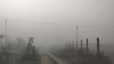 తూప్రాన్: తూప్రాన్ లో కమ్ముకున్న మంచు పొగ