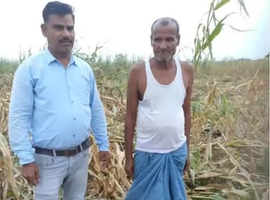 सिकटी: सिकटी प्रखंड में क्षतिग्रस्त फसल के मुआवजे की प्रक्रिया शुरू