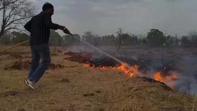 रावतभाटा: रावतभाटा के वन क्षेत्र में भड़की आग, फायर ब्रिगेड और वन विभाग की तत्परता से टला बड़ा हादसा