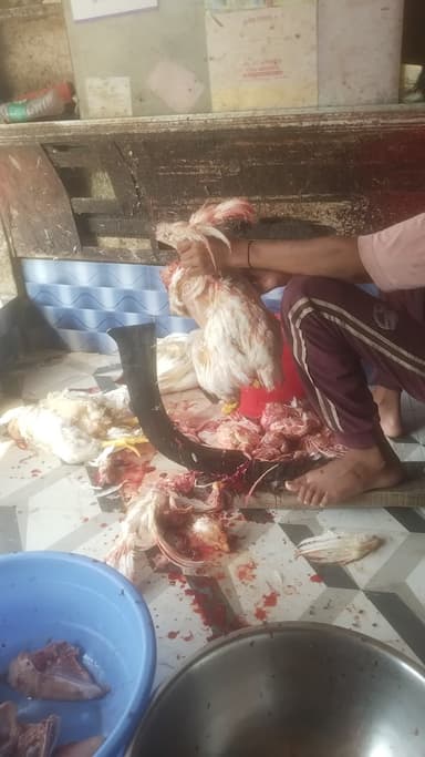 বামনগাছি তিন নম্বর প্ল্যাটফর্ম এর উপর জিতে অগ্রণী স্কুলের আগে মাতিন চিকেন সেন্টার