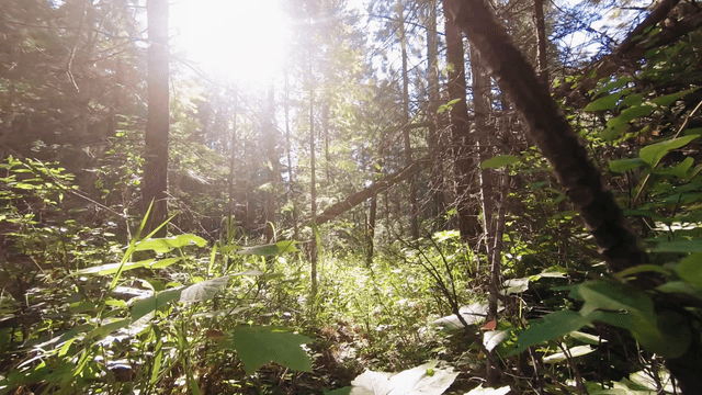 <nis:link nis:type=tag nis:id=viralvealvideo nis:value=viralvealvideo nis:enabled=true nis:link/> <nis:link nis:type=tag nis:id=trendingvideo nis:value=trendingvideo nis:enabled=true nis:link/> <nis:link nis:type=tag nis:id=jaisreekrishna nis:value=jaisreekrishna nis:enabled=true nis:link/>