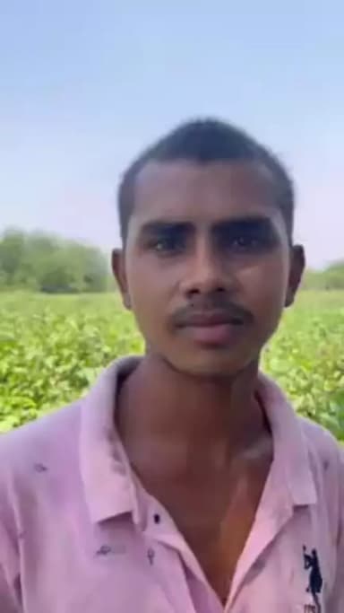 बाड़ी योजना की मदद से पंचायत की खाली जमीन को बनाया आय का जरिया

जय शक्ति स्व सहायता समूह के सदस्यों ने चंदखुरी गौठान अंतर्गत संचालित बाड़ी से भिंडी, टमाटर व बैगन की खेती कर अब तक लगभग 1 लाख 30 हजार रुपए की आय अर्जित की है।