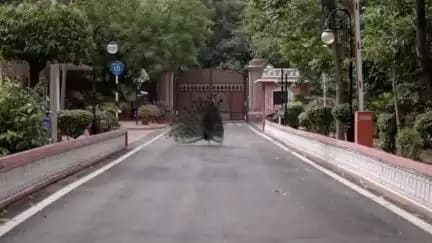 PM Narendramodi's soulful and inspiring <nis:link nis:type=tag nis:id=MannKiBaat100 nis:value=MannKiBaat100 nis:enabled=true nis:link/> episode saw the energy resonating amongst the visitors - young and experienced alike. <nis:link nis:type=user nis:id=zD4GIswFhmO4eFoN81apAICtqtK2 nis:value=cbcrojaipur nis:enabled=true nis:link/> captures the magic of <nis:link nis:type=tag nis:id=MannKiBaat nis:value=MannKiBaat nis:enabled=true nis:link/> at Raj Bhawan, Jaipur.