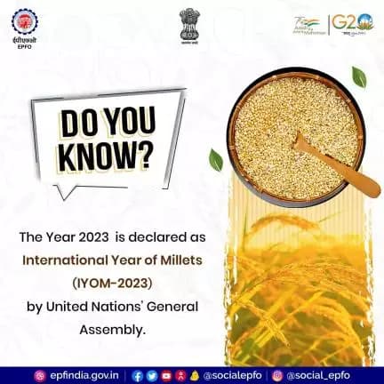 The United Nations' general Assembly (UNGA) has designated 2023 as the International Year of Millets