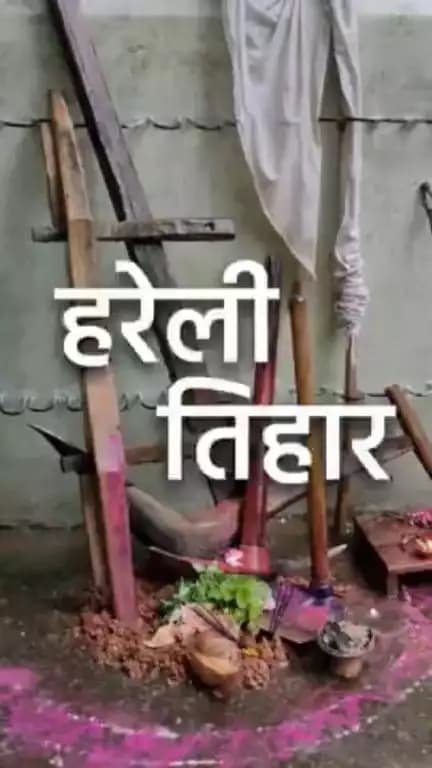 बालोद जिले में उत्साहपूर्वक मनाया गया हरेली तिहार। #HappyHareliTihar