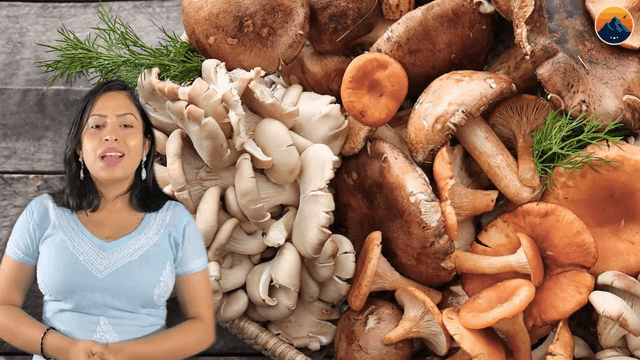 रात के अंधेरे में चमकने वाले मशरूम