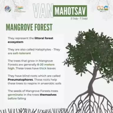 #VanMahotsav মনুংদা মীওই খুদিংমক উ চারা অমা থাগনি হায়বগী থাজবা থম্লি।
