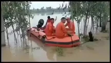 रिपोर्टर साहब आप गलत खबर चला रहे हो वीडियो सितारगंज शक्ति फार्म की है और खबर काशीपुर की दिखा रहे हो