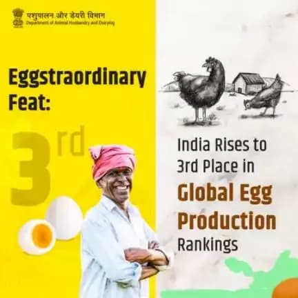 India Soars to 3rd Spot in Global Egg Production Rankings, a Truly Eggstraordinary Achievement!
#AatmnirbharBharat #aatmnirbharahd #ahelp #animalhealth #livestock #animalhusbandry #Pashupalan #InclusiveDevelopment #AspirationalDistricts
