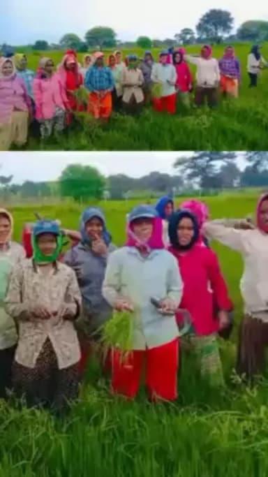 अन्नदाता माताओं ने किसान हितैषी योजनाओं के लिए मुख्यमंत्री का जताया आभार

जन्मदिन की दी शुभकामनाएं

#HBDKAKA #HBDBhupeshBaghel