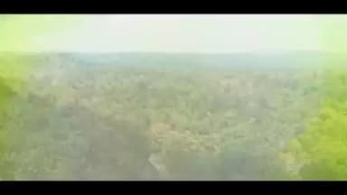 मुख्यमंत्री जी द्वारा शुरू की गई #मुख्यमंत्री_वृक्ष_संपदा_योजना से व्यावसायिक वृक्षारोपण को बढ़ावा मिल रहा है।
मुख्यमंत्री की इस पहल पर राज्य के किसान वृक्षारोपण कर अतिरिक्त आय के अवसरों का लाभ उठा रहे हैं।
#cgmodel