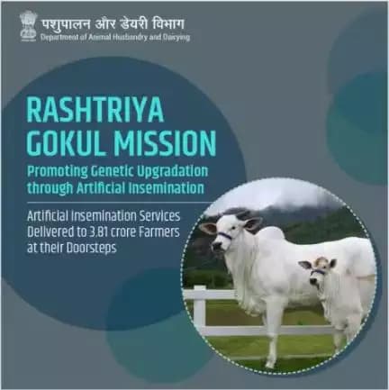 "Nurturing Heritage, Enhancing Yield: A Journey towards Indigenous Bovine Development and Milk Productivity 🐄🥛

#RGM #BovineConservation #MilkProductivity #AatmnirbharBharat #aatmnirbharahd #ahelp