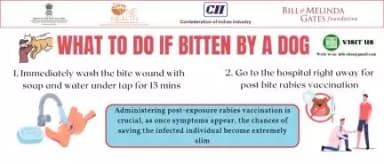🐶 Bitten by a dog? Act fast:
Wash the wound with soap and water for 15 mins.
Head to the hospital immediately for post-bite rabies vaccination. 💉🏥
Quick action is key – it's often too late once symptoms appear. Stay safe! #WorldRabiesDay