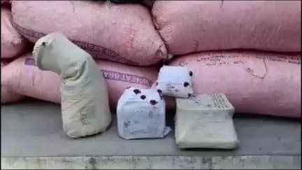 जिलाधिकारी की मंशा जनपद शामली के विकास में स्पीड ब्रेकर है।
<nis:link nis:type=tag nis:id=uttarpradeshnews nis:value=uttarpradeshnews nis:enabled=true nis:link/> <nis:link nis:type=tag nis:id=uttarpradrsh nis:value=uttarpradrsh nis:enabled=true nis:link/>