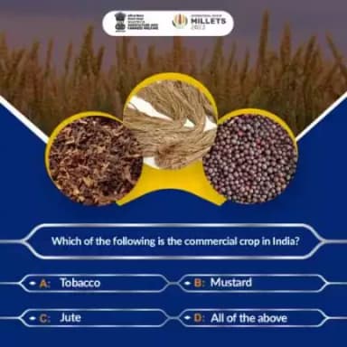 Come & join us for an exciting round of Agri Quiz! 
.
Which of the following is the commercial crop in India? Share your answer in comment section.
#agrigoi #commercialcrops #Tobacco #jute #mustard #agriculture #agriquiz
