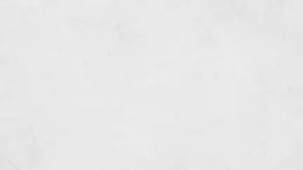 Let's take a look at the first decade of growth, inclusion, and protection that redefined social security and financial