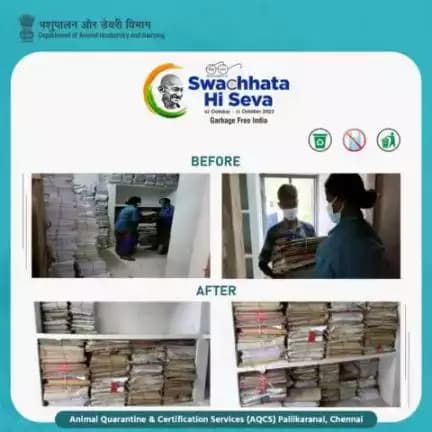 As a part of #SpecialCampaign 3.0, the Animal Quarantine & Certification Services (AQCS) in Pallikaranai, Chennai, in collaboration with @dept_of_ahd, organized a systematic file weeding-out and disposal initiative.
#SwachhBharat #GarbageFr