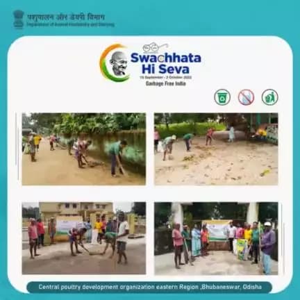 As part of the Swachhata Hi Seva campaign, the Department of Animal Husbandry and Dairying (DAH&D) organized a #SwachhataAbhiyan. Officers and employees from the Central Poultry Development Organisation, Eastern Region, Bhubaneswar.
