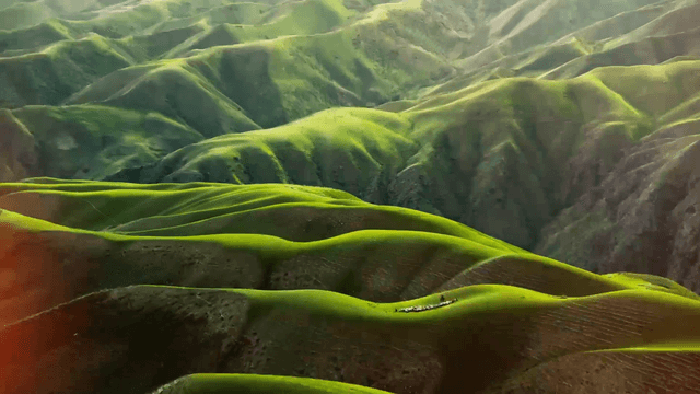 प्रकृति ने बनाई विश्व कप ट्रॉफी