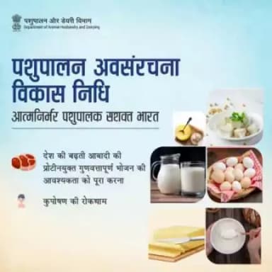 आत्मनिर्भर पशुपालक - सशक्त भारत

प्रोटीनयुक्त गुणवत्तापूर्ण आहार  - कुपोषण को दूर करने की पह
#आत्मनिर्भरपशुपालक #AatmnirbharBharat #aatmnirbharahd #ahelp #animalhealth #livestock #animalhusbandry #Pashupalan #AHIDFforNewIndia