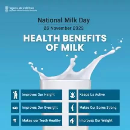 Pouring a glass of goodness! 🥛✨ Discover the incredible health benefits of milk - from strong bones to radiant skin, it's the ultimate elixir for your well-being. 
#MilkBenefits #NutritionBoost #Nationalmilkday #animalhusbandry