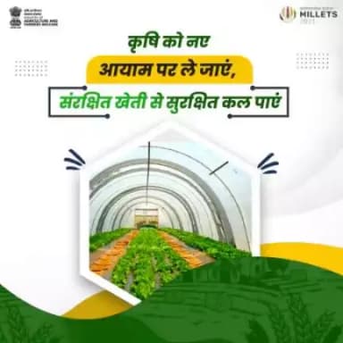 संरक्षित खेती एक नवीनतम तकनीक है जिसके माध्यम से किसान फसलों की मांग के अनुसार सूक्ष्म वातावरण को नियंत्रित रखते हुए फलों व सब्जियों की खेती कम क्षेत्रफल में कर अधिक उत्पादन प्राप्त कर सकते हैं।
#agrigoi #smartfarming #agriculture #polyhous