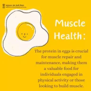 Power up your fitness journey with eggs – the ultimate fuel for muscle repair and growth.
#egg #EggNutrition