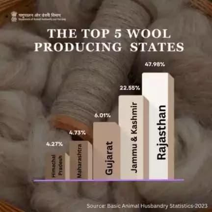 Regional Wool Powerhouses: 
Rajasthan, Jammu & Kashmir, Gujarat, Maharashtra, and Himachal Pradesh Lead the Flock, Combining Forces to Contribute 85.54% to the Nation's #Wool Production. #woolproduction #woolindustry