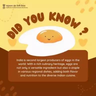 A global egg powerhouse!
 From curries to desserts, #eggs weave flavor and #nutrition into the vibrant tapestry of #Indiancuisine.