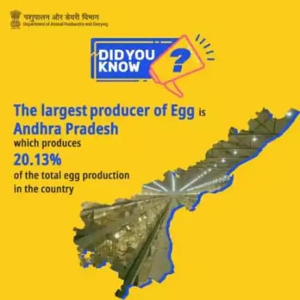 Did You Know:
Andhra Pradesh emerges as the top egg producer, contributing 20.13% to the country's total #eggproduction, showcasing its significant role in the nation's #poultry industry.@APAHD2023