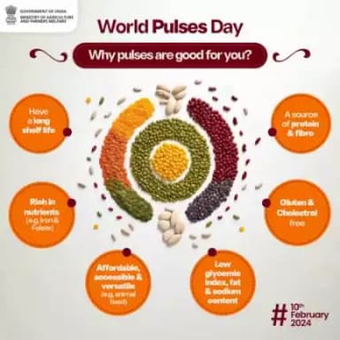 Pulses: Nutrient-packed powerhouses

Pulses are a sustainable source of plant-based protein, contributing to a balanced diet with numerous health benefits.
#WorldPulsesDay🌾