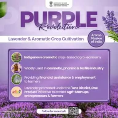 #Purplerevolution through lavender farming is changing the landscape and opening new arenas for farmers. #farmerswelfare
@pibindia @mib_india @cbc_chandigarh