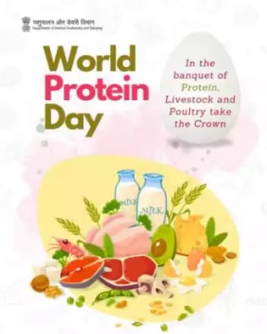 From the coop to the pasture, livestock and poultry reign supreme, offering the richest sources of protein fit for any feast. #worldproteinday  #protein
#fitnesswithprotein #livestockprotein #poultry