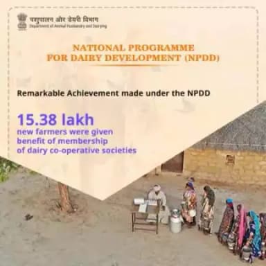 Empowering Dairy Sector: 
Celebrating a milestone achievement under the National Programme for Dairy Development (NPDD). 15.38 lakh new farmers welcomed into the fold of dairy co-operative societies, fostering community and prosperity. #NPD