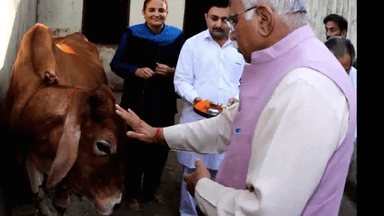 हरियाणा में फास्ट ट्रैक कोर्ट में होगी गौ-हत्या के मामलों की सुनवाई: CM खट्टर #गौ_हत्या