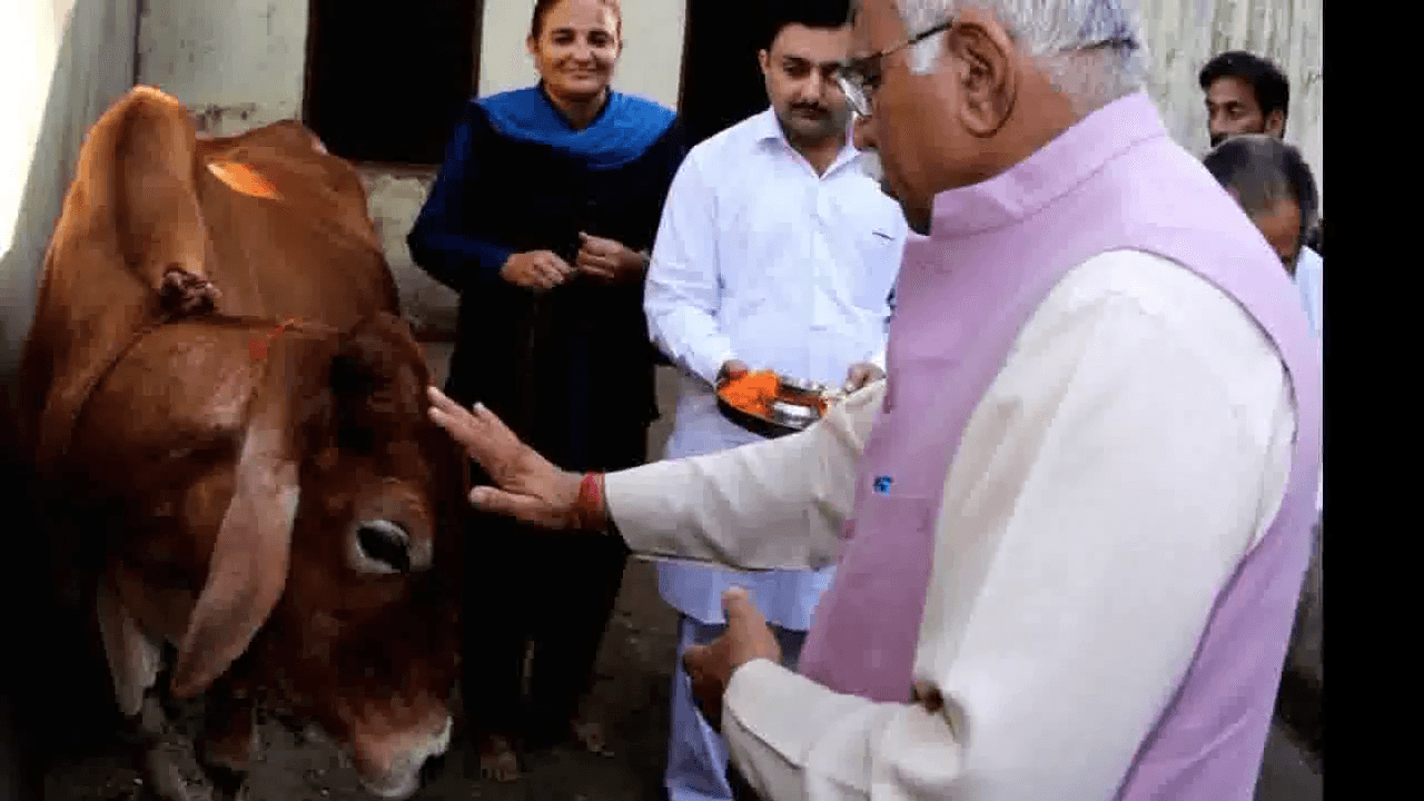 हरियाणा में फास्ट ट्रैक कोर्ट में होगी गौ-हत्या के मामलों की सुनवाई: CM खट्टर #गौ_हत्या