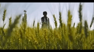 पन्ना में ₹200 में लीज़ पर ली ज़मीन पर खुदाई में किसान को मिला ₹60 लाख का हीरा   #हीरा