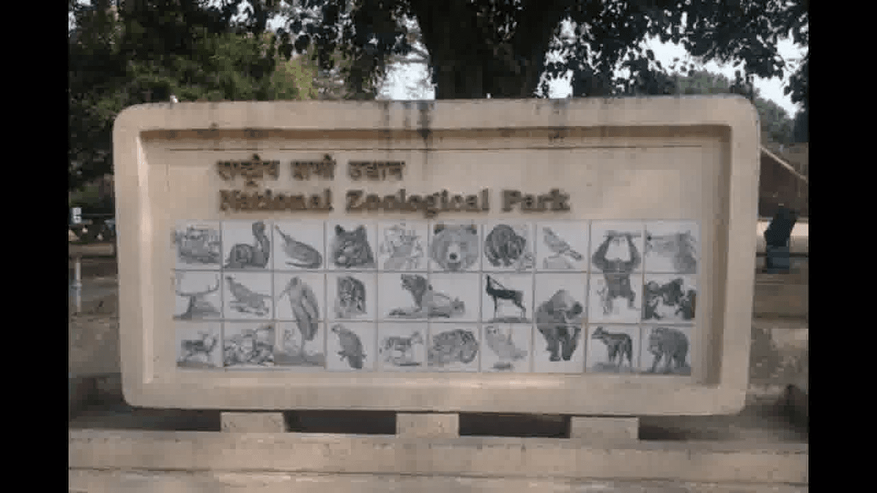 दिल्ली चिड़ियाघर में मृत मिले 12 सारस के नमूने बर्ड फ्लू के लिए पाए गए नेगेटिव #बर्ड_फ्लू