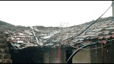 तेज हवा के साथ हुई बारिश कई जगह गिरी पेड़ की डालियां