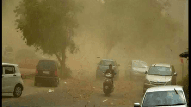 हरियाणा के कई हिस्सों में मौसम विभाग ने जारी किया हल्की से भारी बारिश का येलो अलर्ट #हरियाणा_बारिश