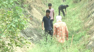 जगाधरी: देवधर गांव के पास टू हेल माइनर में मनरेगा के तहत हो रहे कार्य में नाबालिग बच्चों से मजदूरी कराने का मामला आया सामने