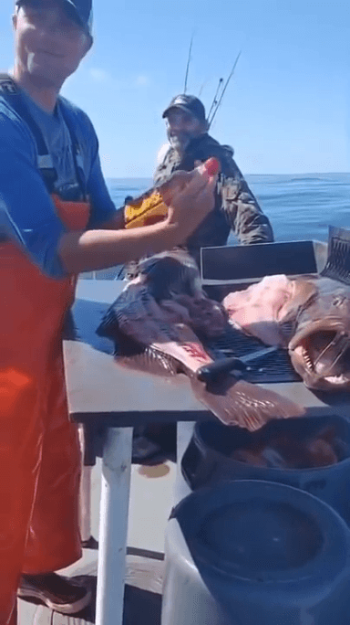 मछली में से निकली बंद whisky की बोतल