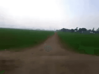 (स्वच्छ भारत अभियान) 
 swach bharat mission 
#biharnews